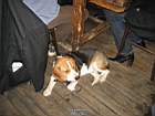 IMG_1456.jpg
